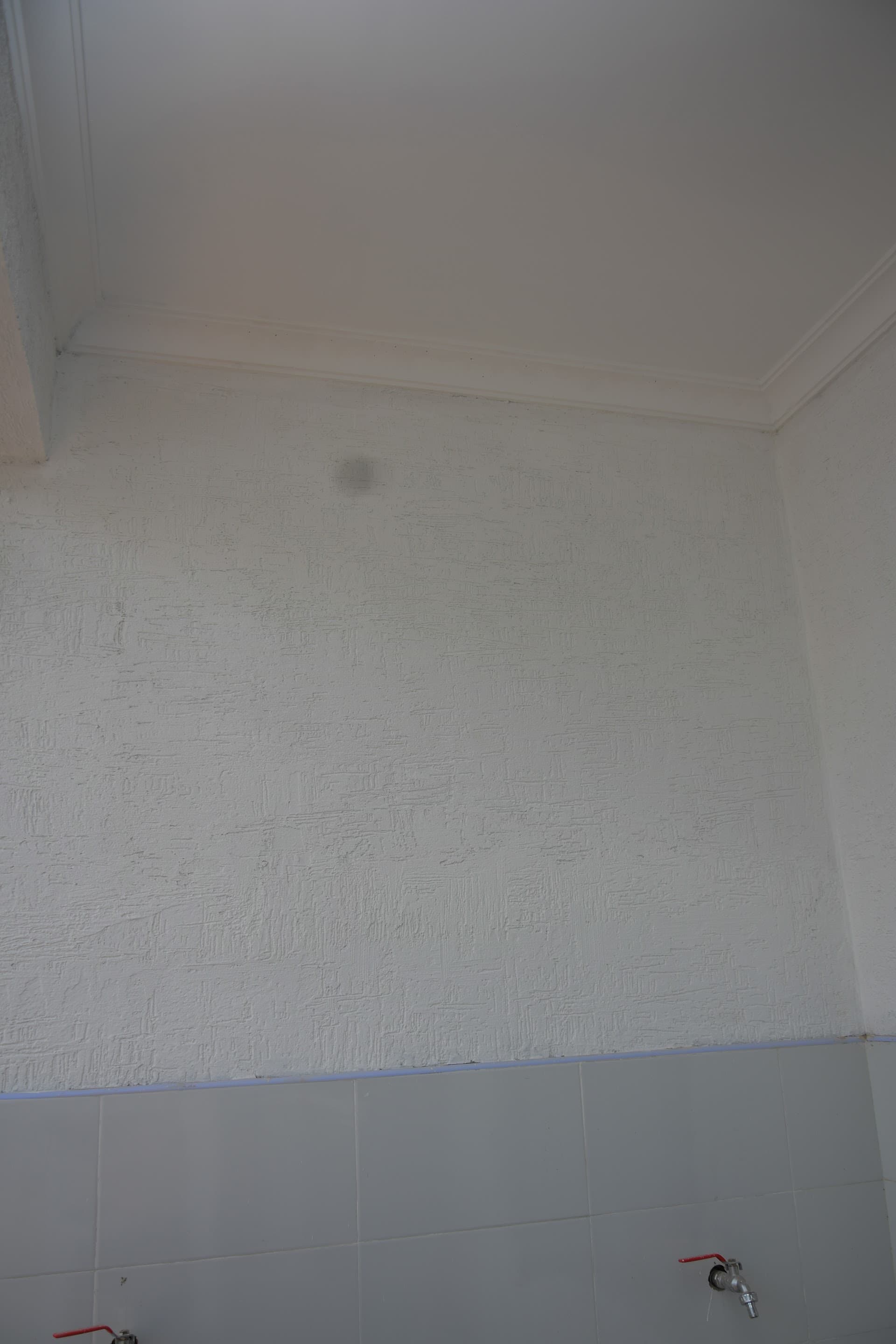 How to Fix Peeling Paint and Damp Wall Blisters Permanently in Nairobi & Kiambu