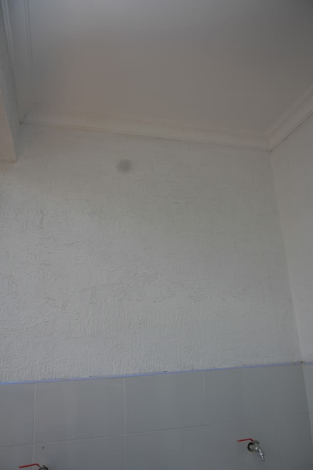 Sambright Alkali-Resistant Primer Sealer 20L Bucket - Rising Damp Chemical Barrier Kenya
